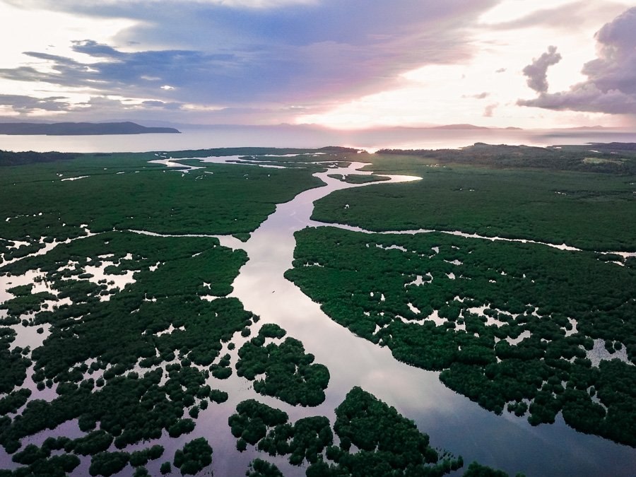 Mangrove Forest Siargao